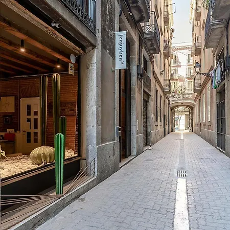 Apartment Enjoybcn Colon Barcelona